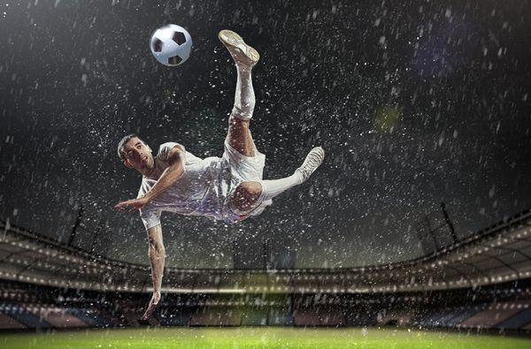 1000 Fussballfelder könnten wir jährlich bedecken